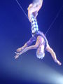 P!NK Konzert 25.3.09 56641153