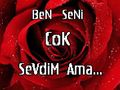 SeRsErI___GöNLüMmM__68 54932454