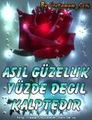 SeRsErI___GöNLüMmM__68 54932458