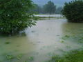 Hochwasser 09 61874344