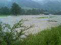 Hochwasser 09 61874359