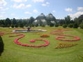 Tiergarten Schönbrunn 2009 62758712