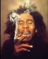 Bob Marley the King of Regie 55068611