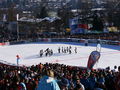 Kitzbühel 2009 55324014