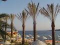 Türkei  ( Bodrum Juli 2005 ) 55328959