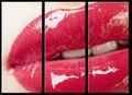 Voi geile Lippen 60813424