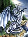 Drachen 55386033