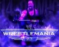 The Undertaker 56774651