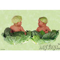 Anne Geddes 55774068