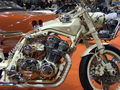 Padova Bike Expo 2010 70939987