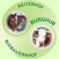 Die Tiere vom Reiterhof Burghub 55458676