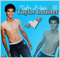 taylor lautner  55552425