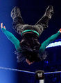 Jeff Hardy 61166003