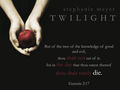 Nur für TWILIGHT Fans 62078077