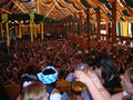 Oktoberfest München 67627213