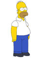 SIMPSONS 55823030