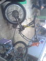 puch ranger 65606048