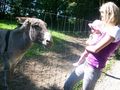 Tierpark Haag 65744347