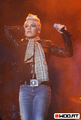 P!nk Konzert 23213648