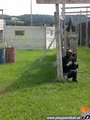 Paintball 10315087