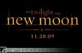 new moon..... 62344566