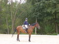 reiten=) 56391380