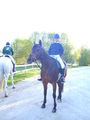 reiten=) 59629003