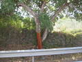 Wohnmobiltrip Sardinien 2003 7708078