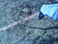 Slackliner 56917755