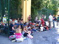 1C at Schönbrunn Zoo - July 07 57859403