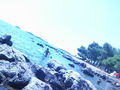 UrLaUb RoViNj  68785925