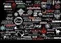 Metal BANDS 61880412