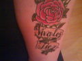 Meine Tattoos 56621507