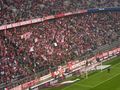 FC Bayern München 54800863