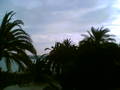 ______~°iBiZa°~ 2006______ 6654417