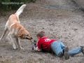 Tiere (Achtung nicht für schwache NERVEN 56761643