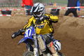Lest 2008 66199602
