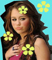 Miley Cyrus 71883036