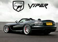 viper 74035793