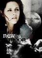 new moon  58466580