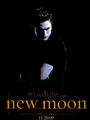 new moon  58466581