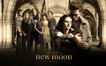 new moon  58466584