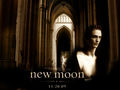 new moon  58466585