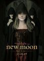 new moon 63987916