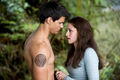 New Moon  68033481