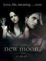 Bilder über New Moon 59677445