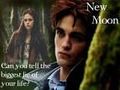 Bilder über New Moon 59677452