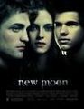 Bilder über New Moon 59677472