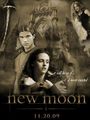 New Moon 57687982