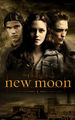 New Moon 57687989